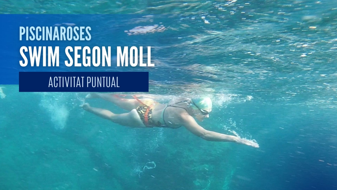 Activitat puntual d'aigües obertes - Swim Segon Moll