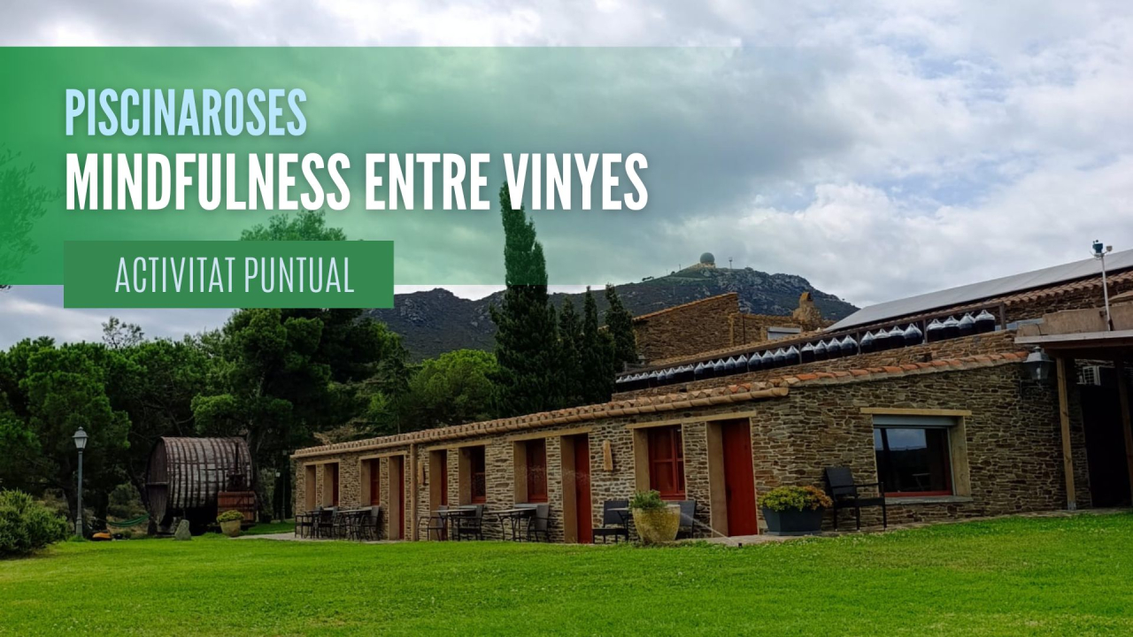 Nova activitat puntual: Mindfulness entre vinyes